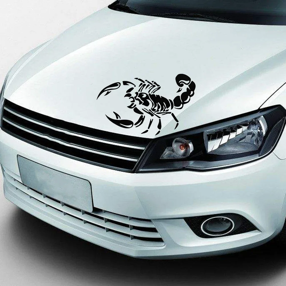 Stiker besar Scorpion, Aksesor - Car Accessories Unique ulasan dan harga